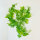 Lucky Reptile Jungle Vine Efeu Ranke ca. 200cm