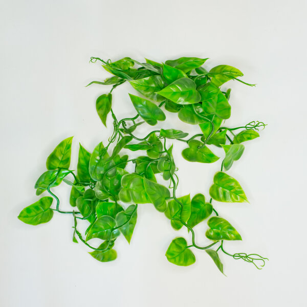 Lucky Reptile Jungle Vine Pilodendrum Ranke ca. 200cm