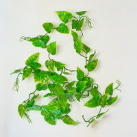 Lucky Reptile Jungle Vine Pilodendrum Ranke ca. 200cm