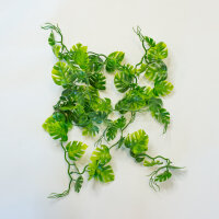 Lucky Reptile Jungle Vine Pothos Ranke ca. 200cm