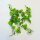 Lucky Reptile Jungle Vine Pothos Ranke ca. 200cm