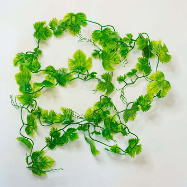 Lucky Reptile Jungle Vine Wilder Wein Ranke ca. 200cm