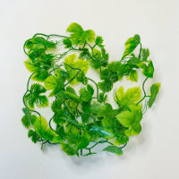 Lucky Reptile Jungle Vine Wilder Wein Ranke ca. 200cm