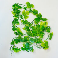 Lucky Reptile Jungle Vine Wilder Wein Ranke ca. 200cm