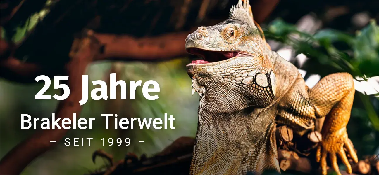 25 Jahre Brakeler Tierwelt
