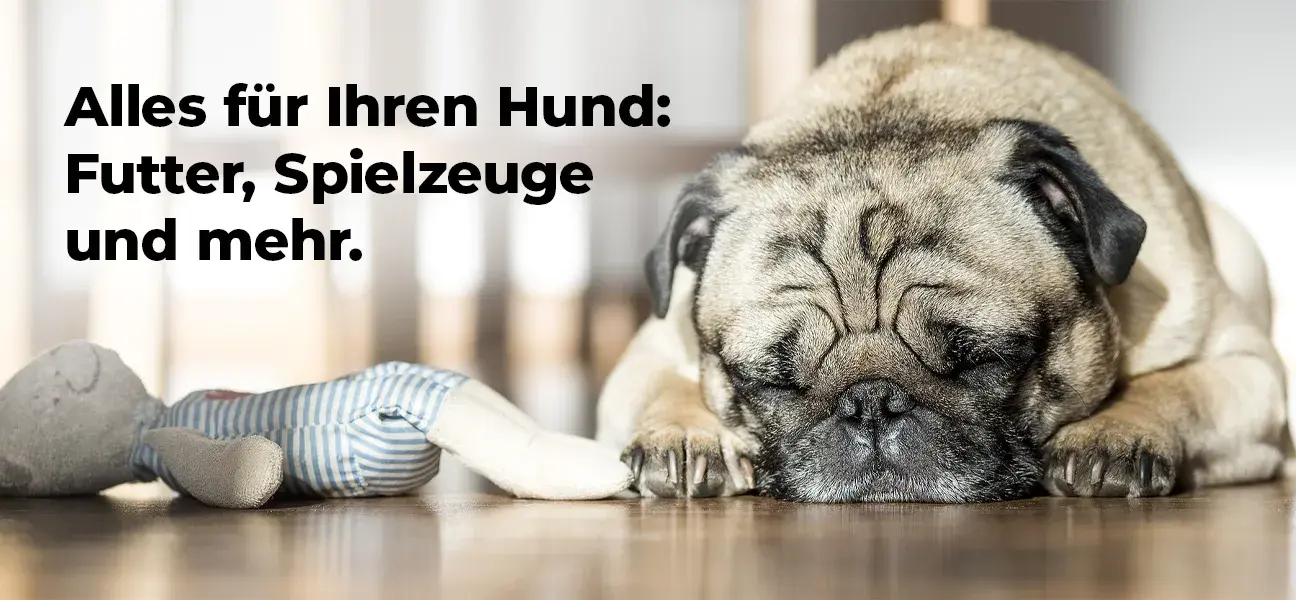 Alles für Ihren Hund: Futter, Spielzeuge und mehr