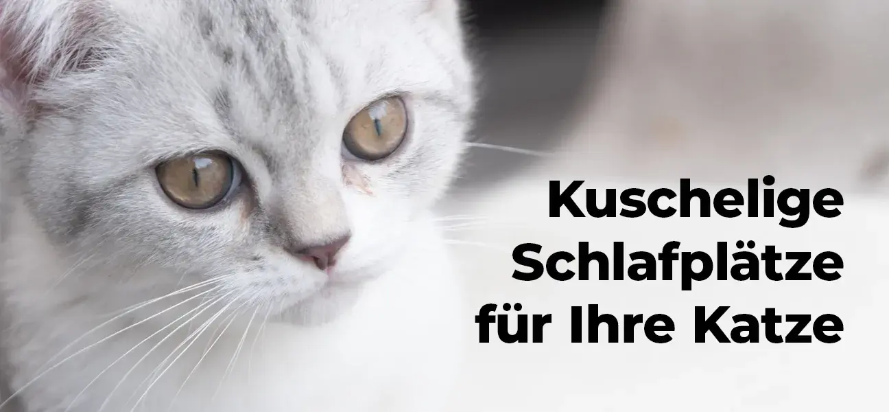 Kuschelige Schlafplätze für Ihre Katze